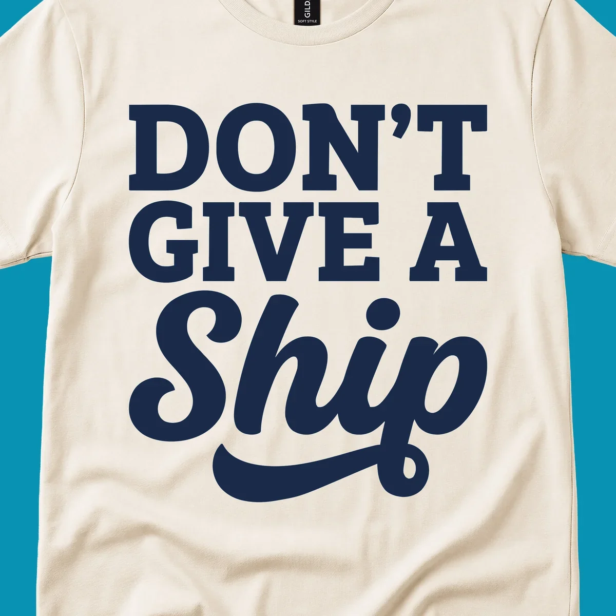 Don't give a ship cruise humor design with bold white lettering and decorative swash on gray background