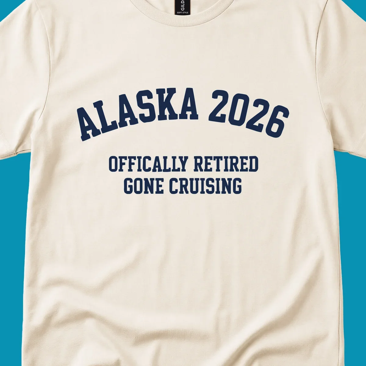Bold white text on gray background reading 'ALASKA 2026 OFFICIALLY RETIRED GONE CRUISING' in athletic typography style