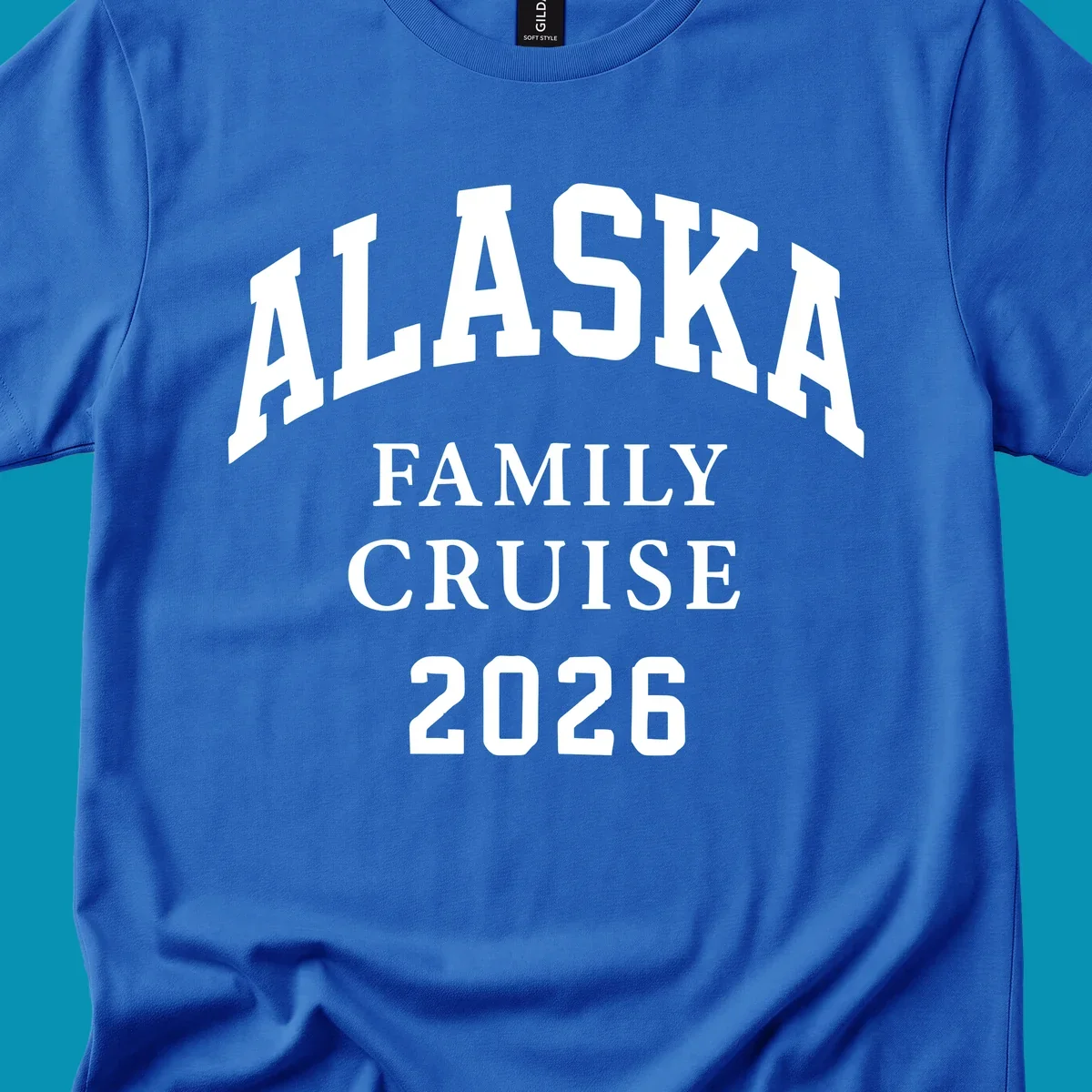 Bold white typography reading 'Alaska Family Cruise 2026' in arched lettering on gray background