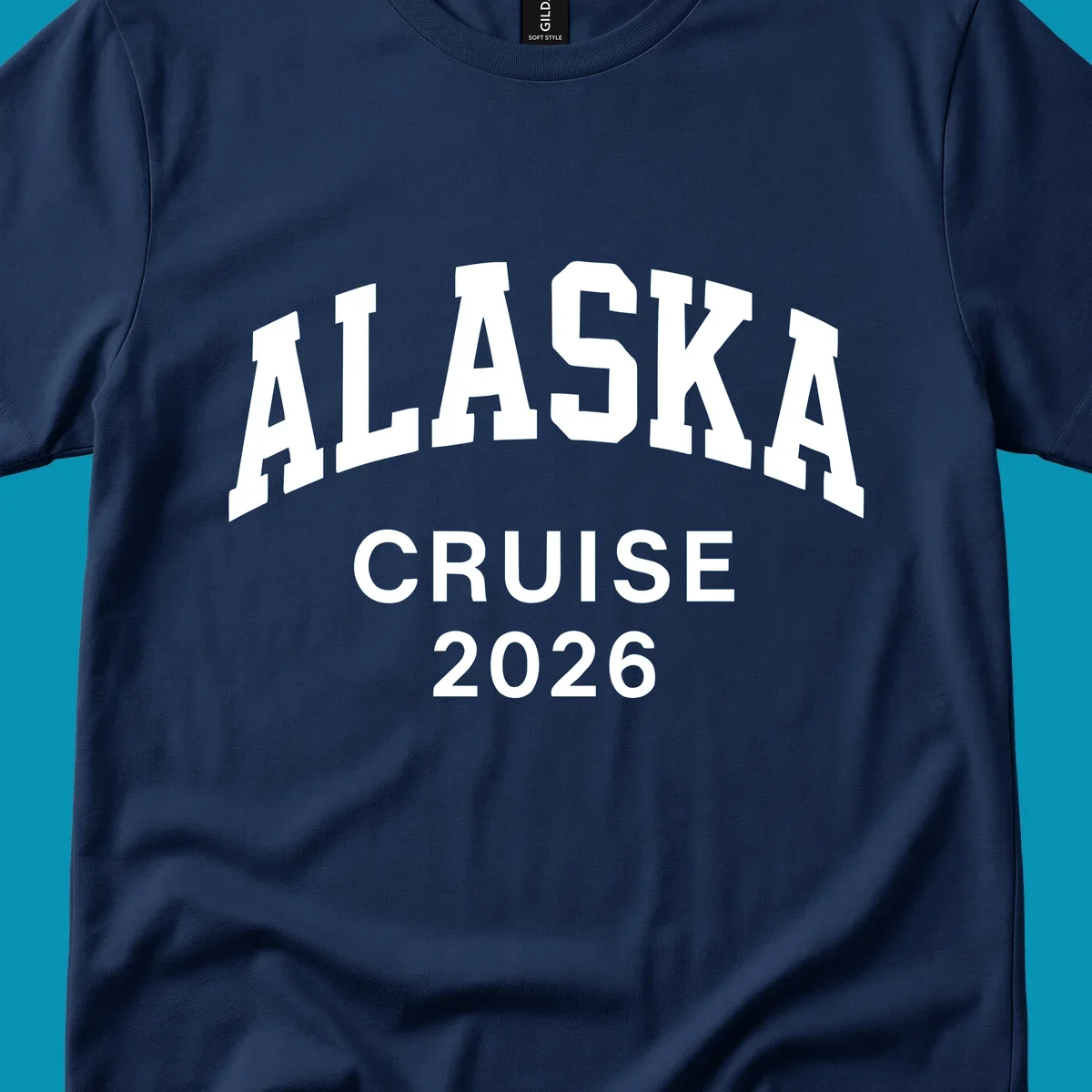 Bold white text reading 'ALASKA CRUISE 2026' in arched sans-serif lettering on gray background