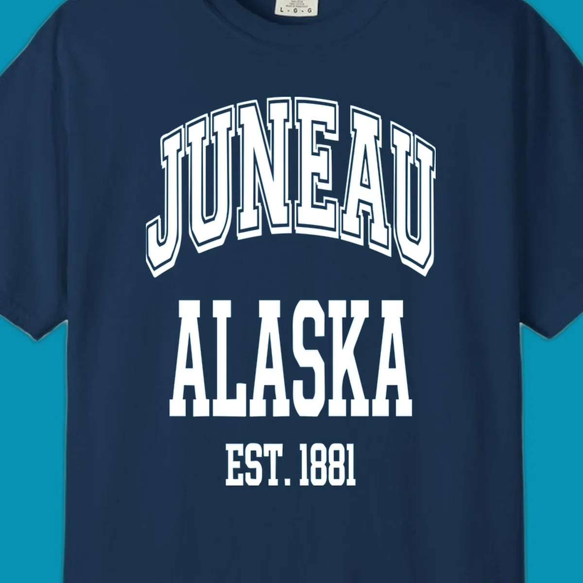 Bold 3D outlined text reading 'Juneau At Alaska Est 1881' in white lettering on gray background