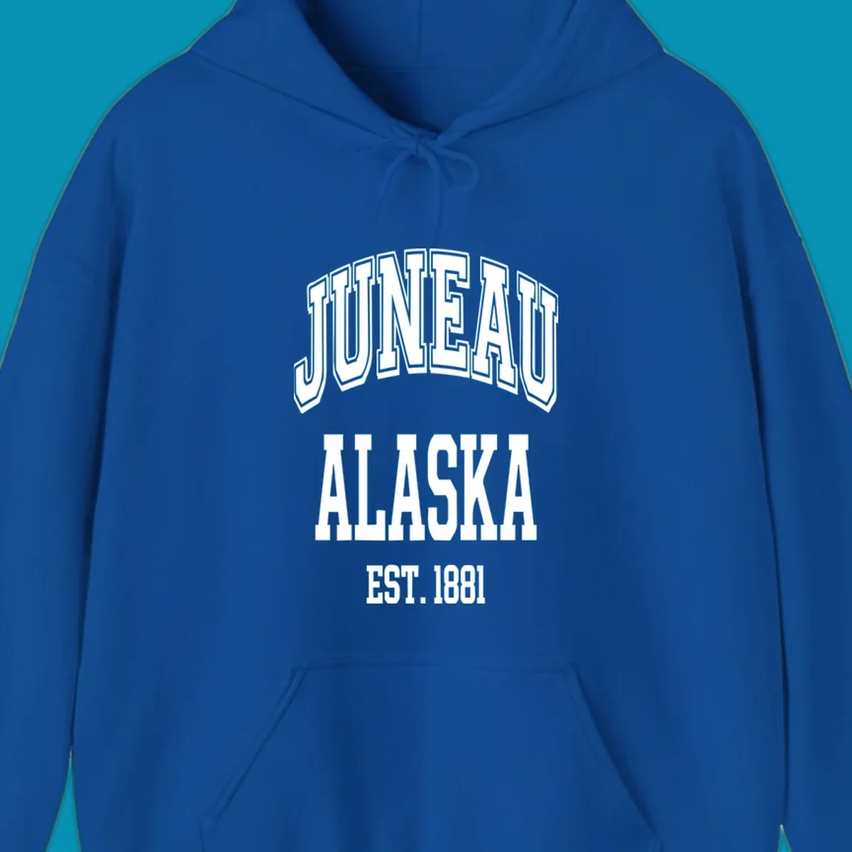 Bold 3D outlined text reading 'Juneau At Alaska Est 1881' in white lettering on gray background