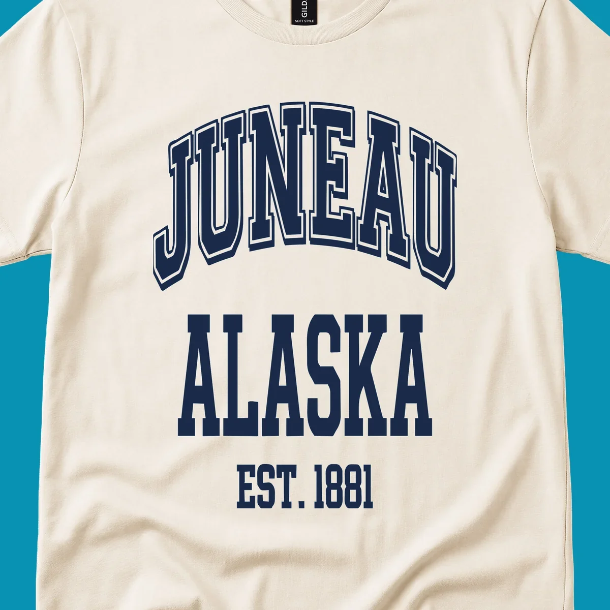 Bold 3D outlined text reading 'Juneau At Alaska Est 1881' in white lettering on gray background