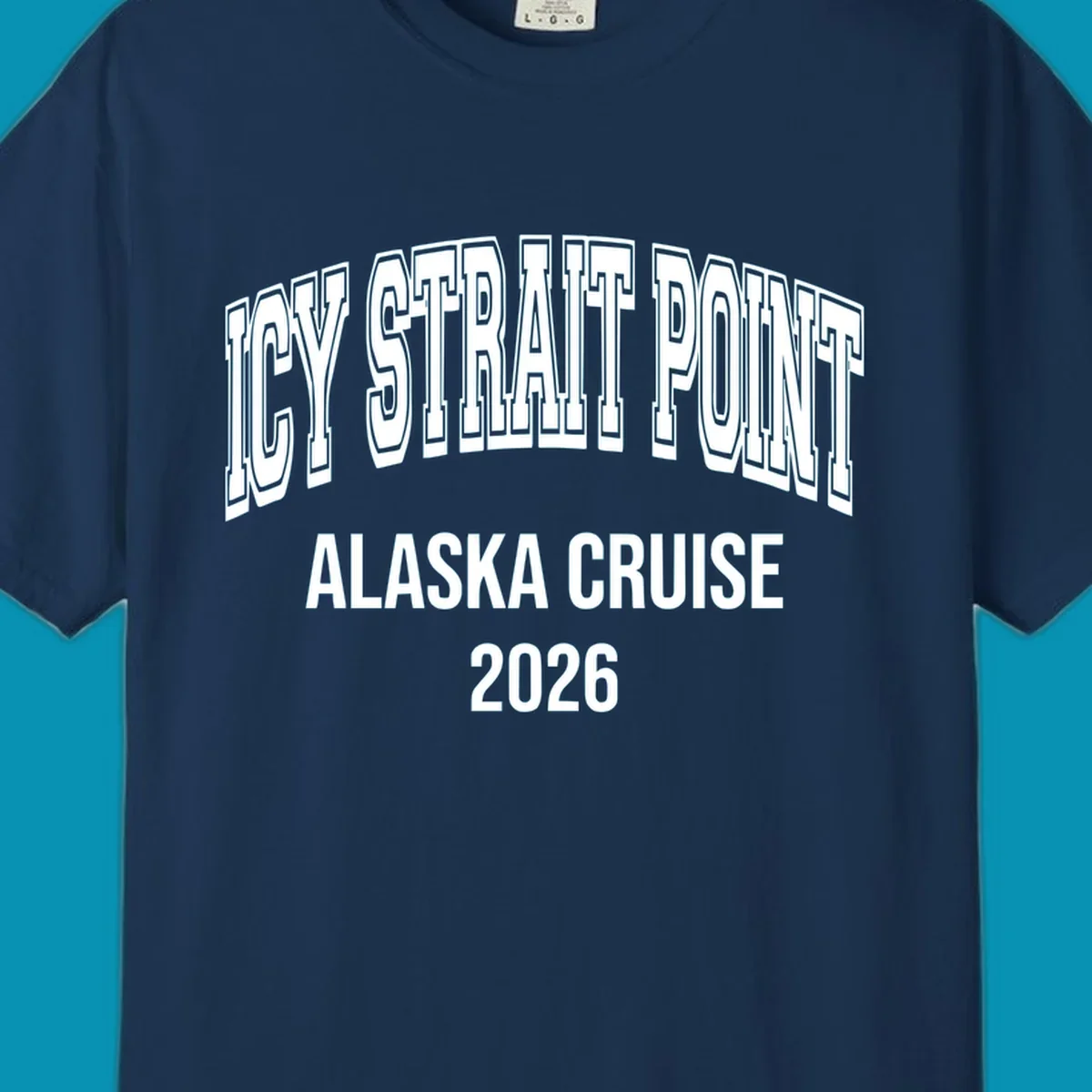 Bold 3D outlined text reading 'Dry Strait Point Alaska Cruise 2026' in white lettering on gray background