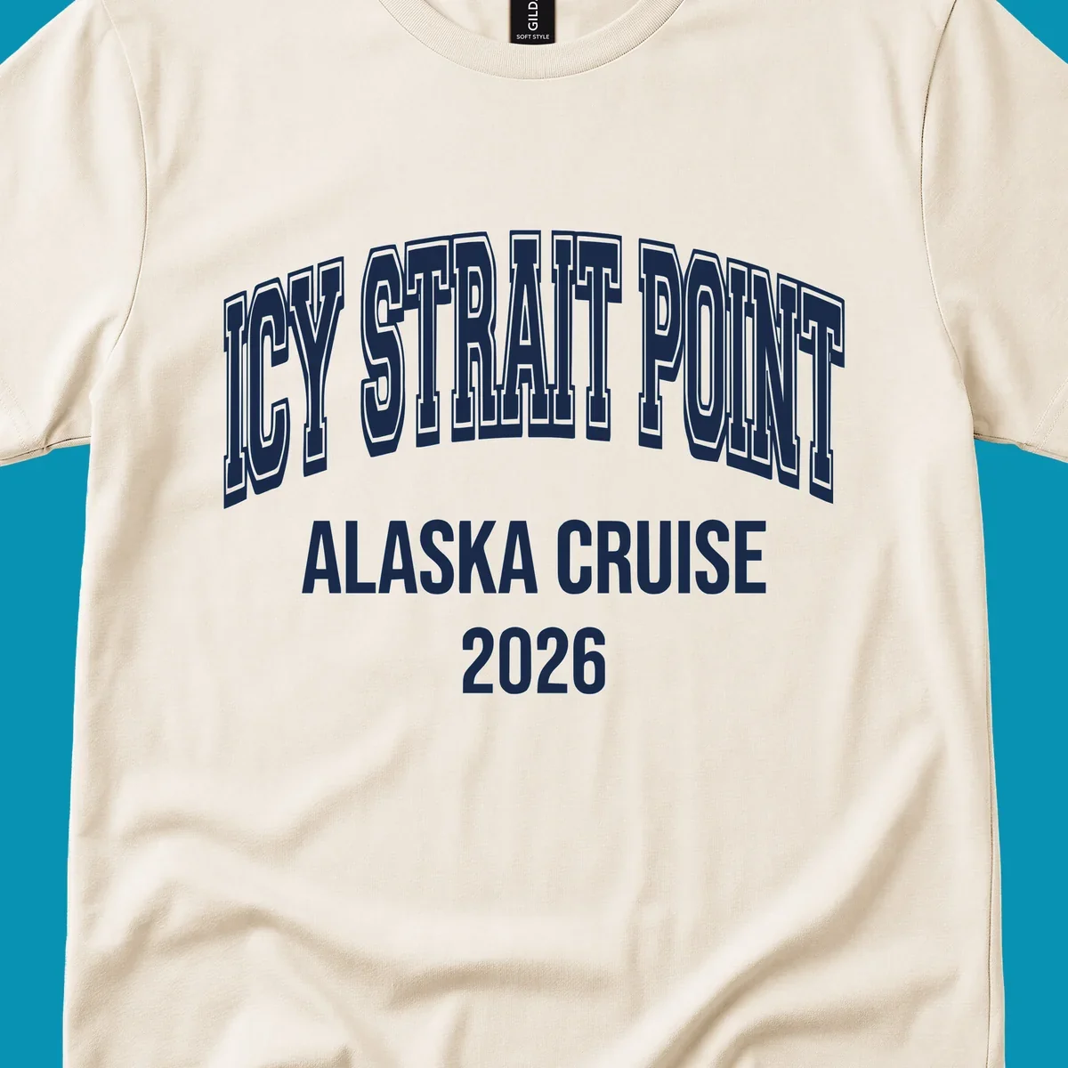 Bold 3D outlined text reading 'Dry Strait Point Alaska Cruise 2026' in white lettering on gray background
