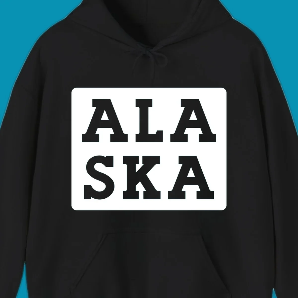 Bold gray block letters spelling 'ALA SKA' with geometric triangle cutouts, creating a playful Alaska pun design