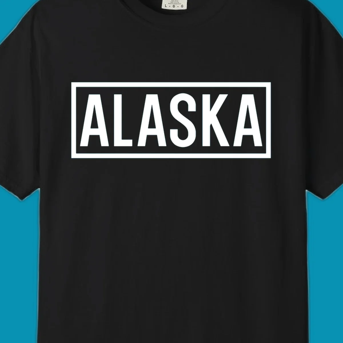 Bold white 'ALASKA' text centered in gray rectangular frame with white border—Alaska bold statement cruise design