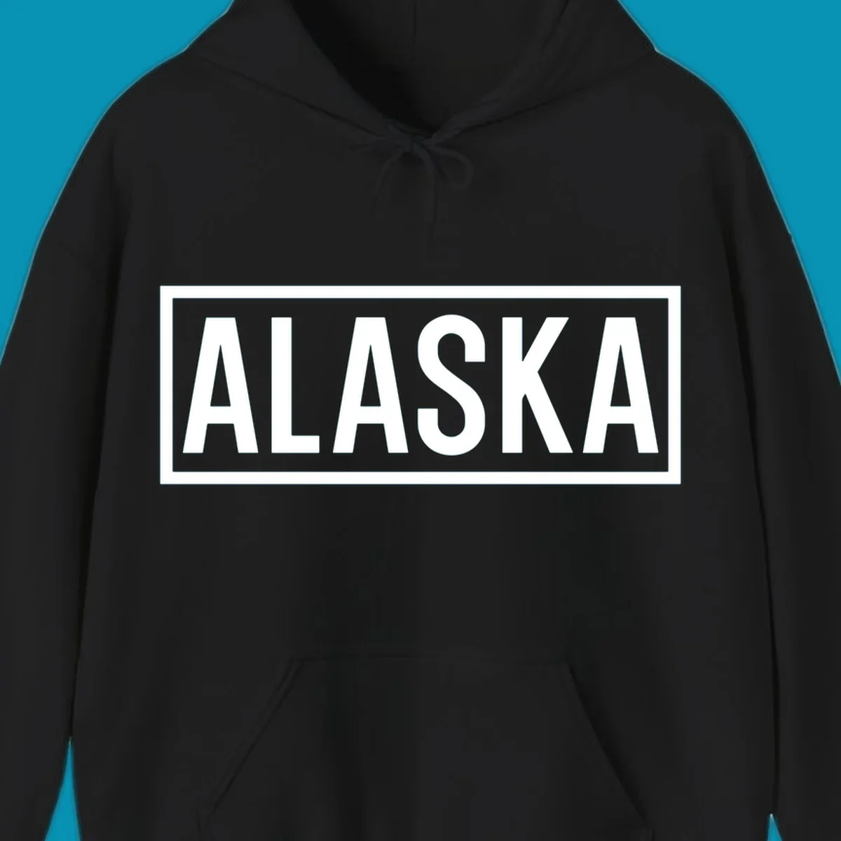 Bold white 'ALASKA' text centered in gray rectangular frame with white border—Alaska bold statement cruise design