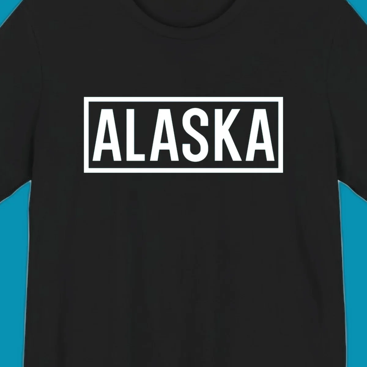 Bold white 'ALASKA' text centered in gray rectangular frame with white border—Alaska bold statement cruise design