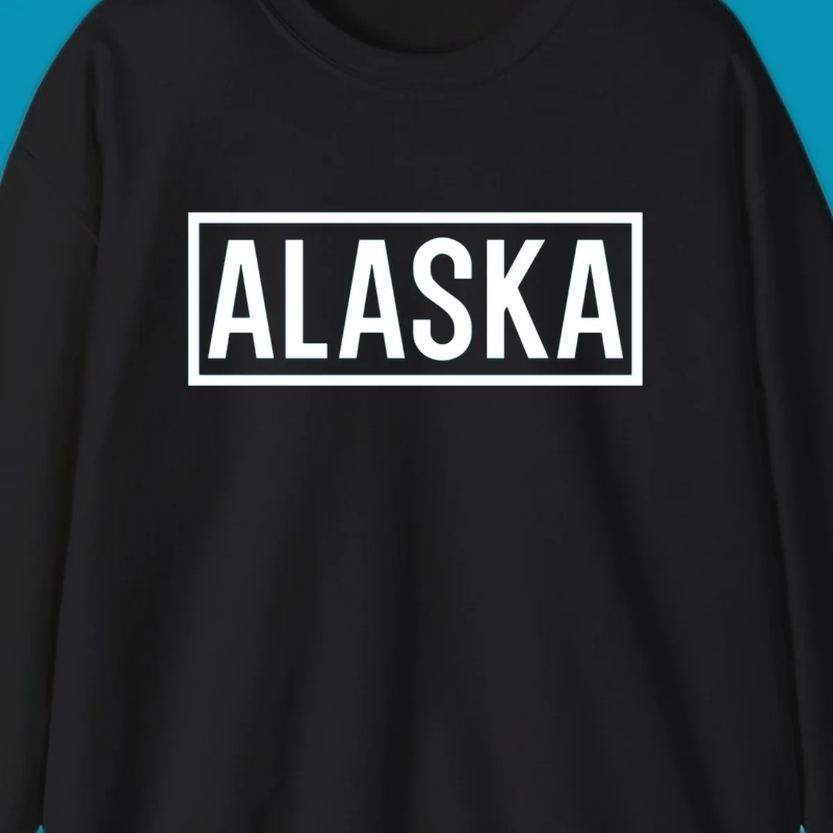 Bold white 'ALASKA' text centered in gray rectangular frame with white border—Alaska bold statement cruise design
