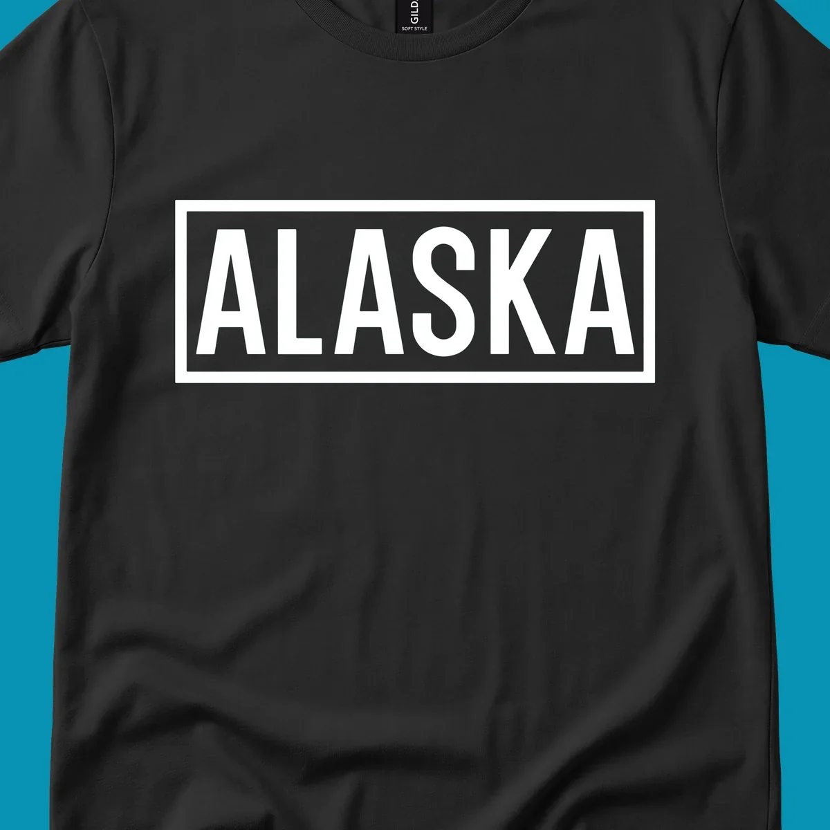 Bold white 'ALASKA' text centered in gray rectangular frame with white border—Alaska bold statement cruise design