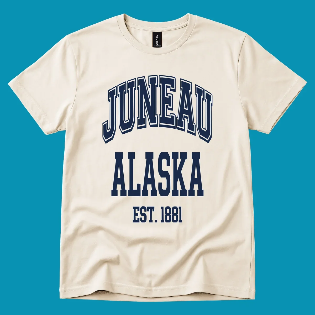 Bold 3D outlined text reading 'Juneau At Alaska Est 1881' in white lettering on gray background