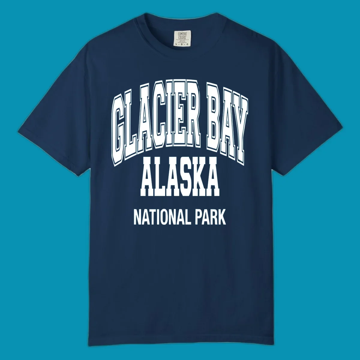 3D block lettering design reading Glacier Bay Alaska National Park with dimensional glacier-inspired styling and icy blue-gray tones