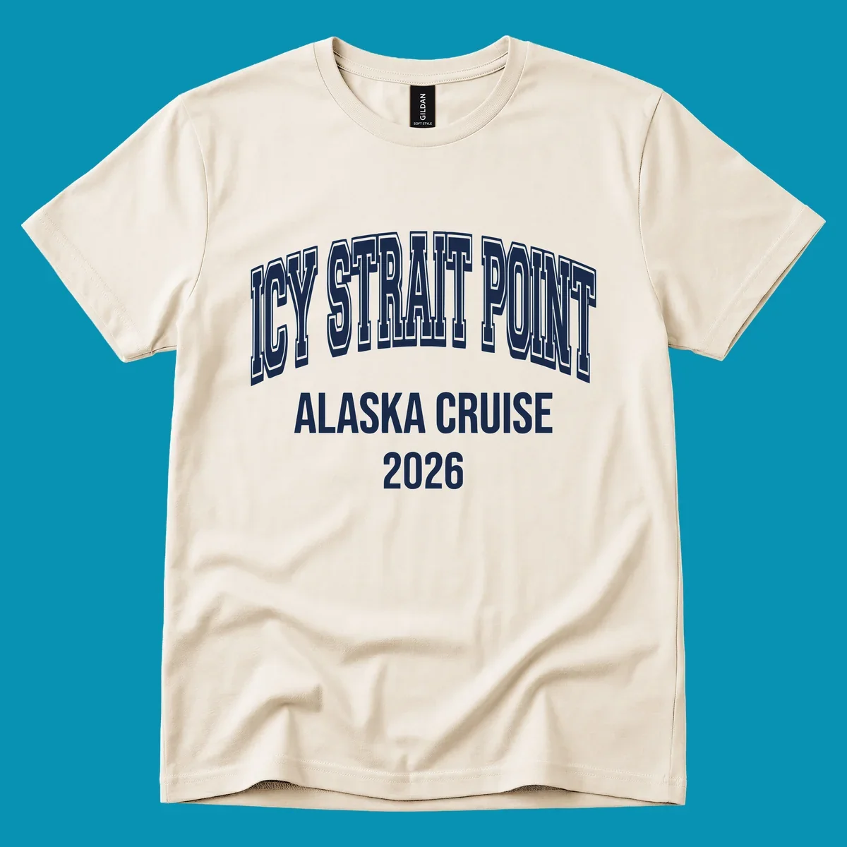 Bold 3D outlined text reading 'Dry Strait Point Alaska Cruise 2026' in white lettering on gray background