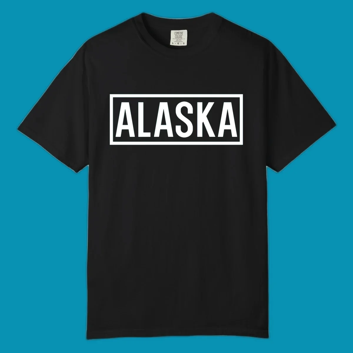 Bold white 'ALASKA' text centered in gray rectangular frame with white border—Alaska bold statement cruise design