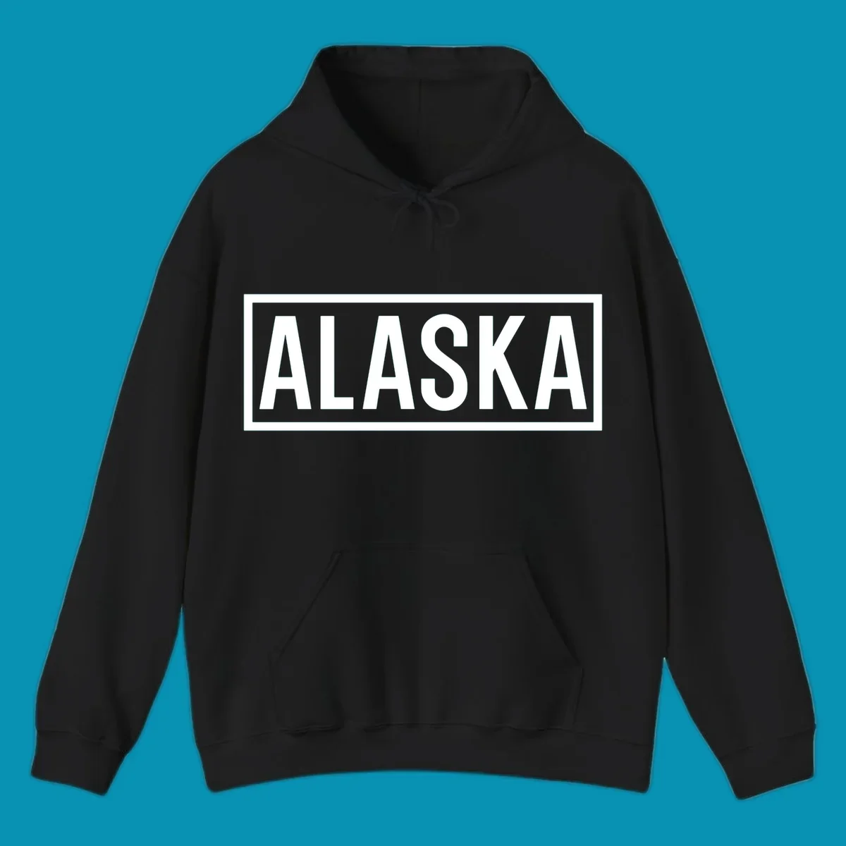 Bold white 'ALASKA' text centered in gray rectangular frame with white border—Alaska bold statement cruise design