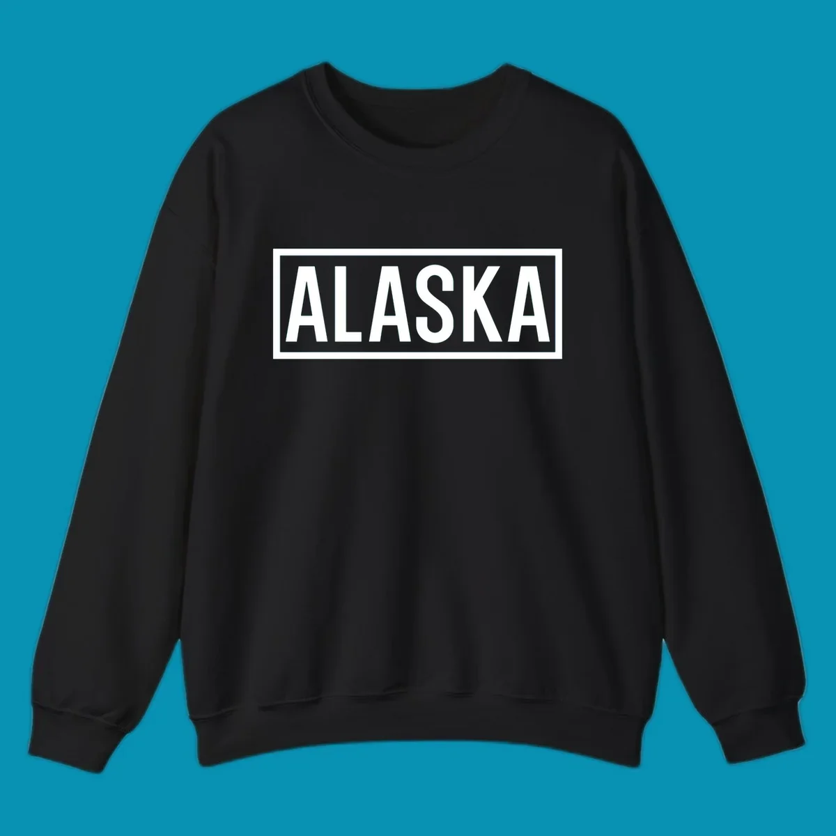 Bold white 'ALASKA' text centered in gray rectangular frame with white border—Alaska bold statement cruise design
