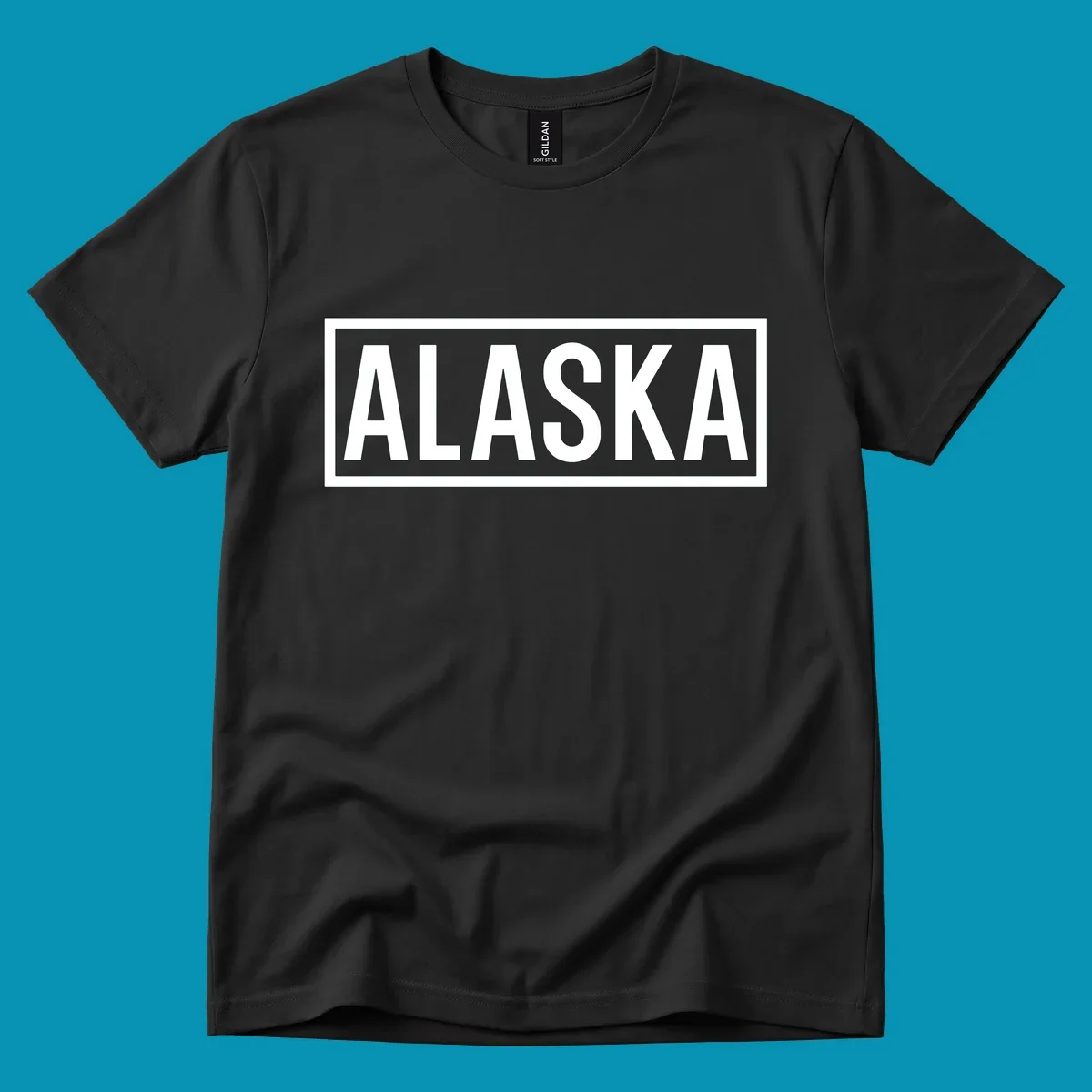 Bold white 'ALASKA' text centered in gray rectangular frame with white border—Alaska bold statement cruise design
