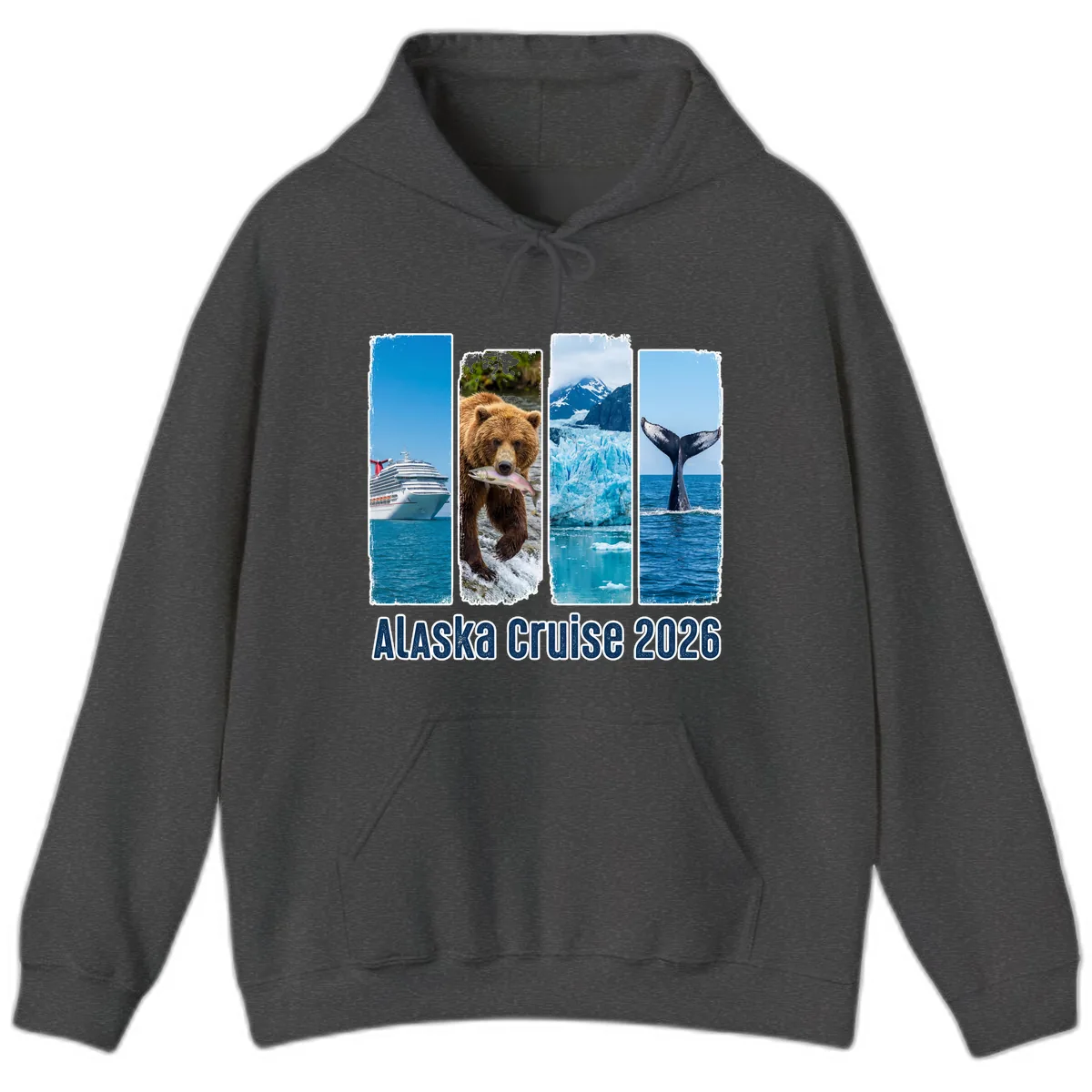 Alaska Cruise 2026 Adventure Panels Hoodie in Dark Heather