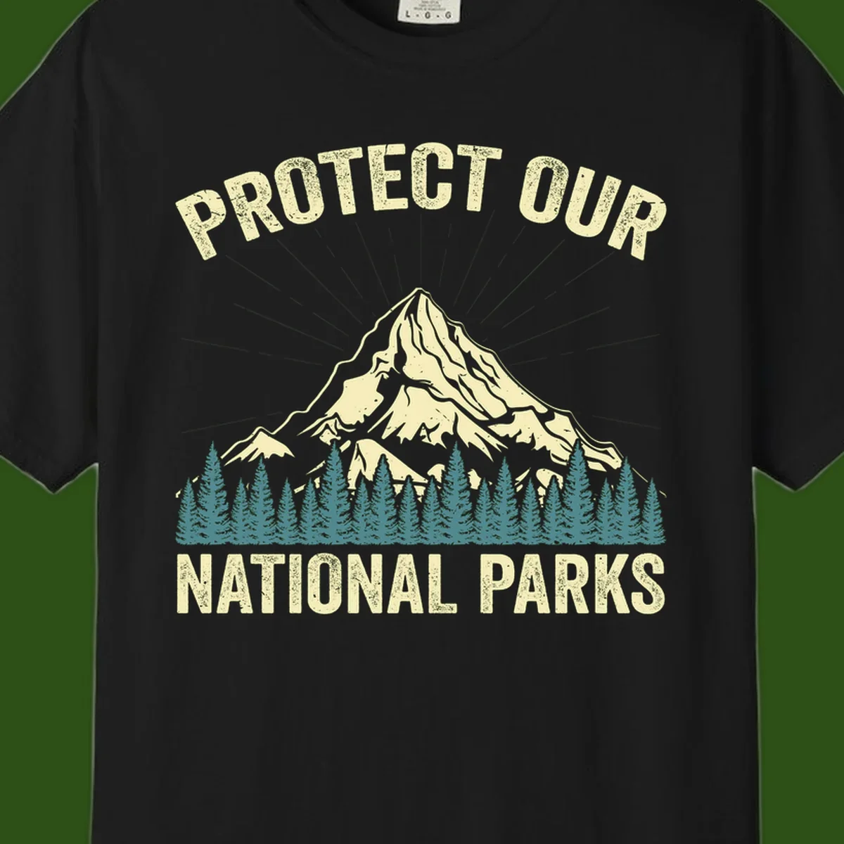 Vintage-style mountain illustration with 'Protect Our National Parks' text, featuring snow peak, forest silhouette, and sun rays