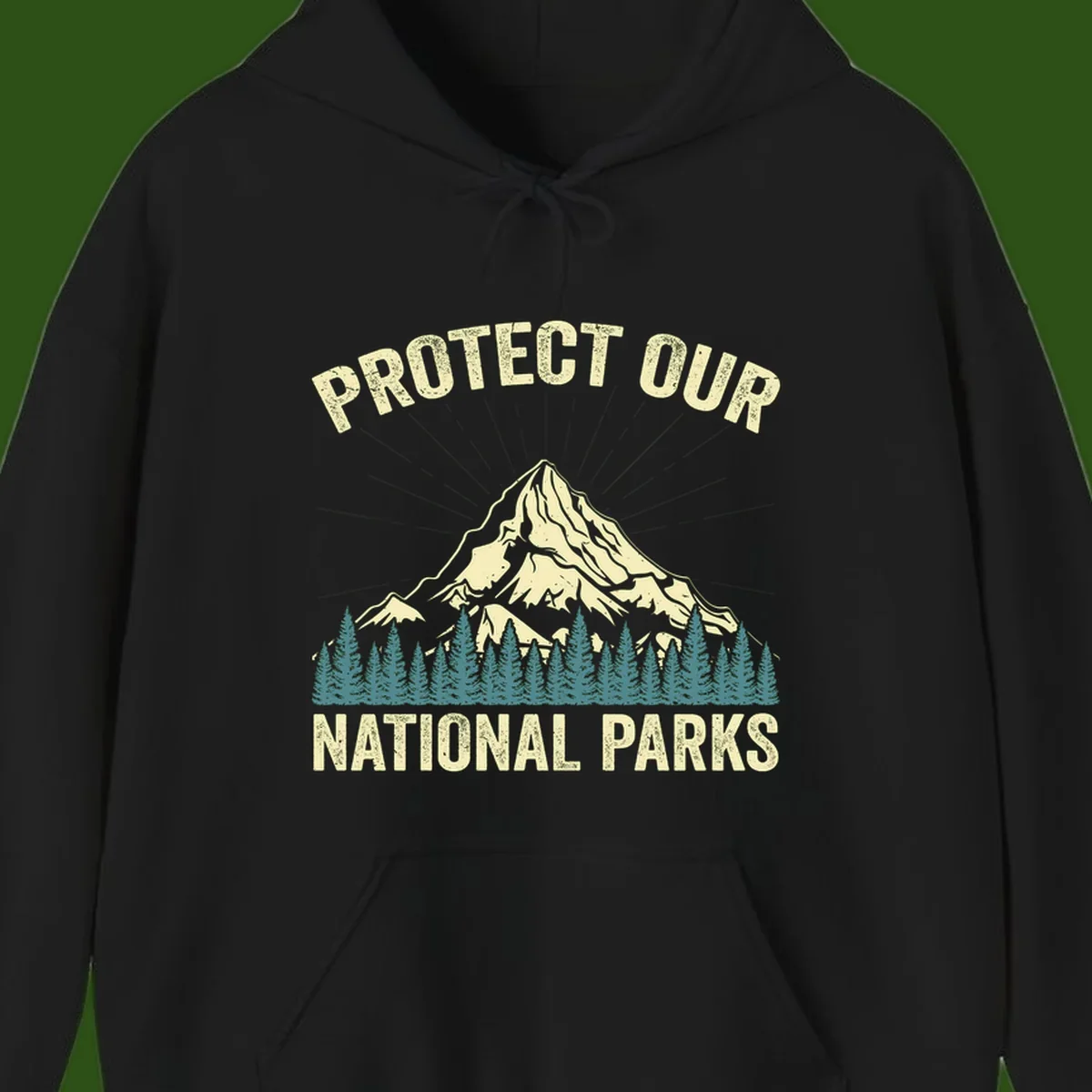 Vintage-style mountain illustration with 'Protect Our National Parks' text, featuring snow peak, forest silhouette, and sun rays