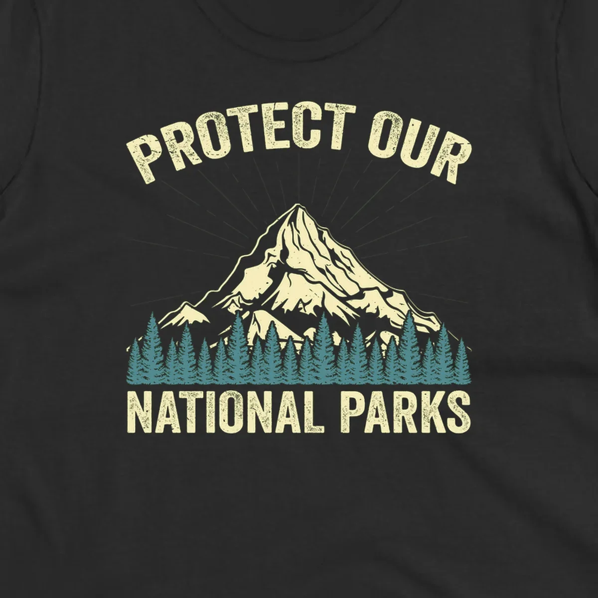 Vintage-style mountain illustration with 'Protect Our National Parks' text, featuring snow peak, forest silhouette, and sun rays