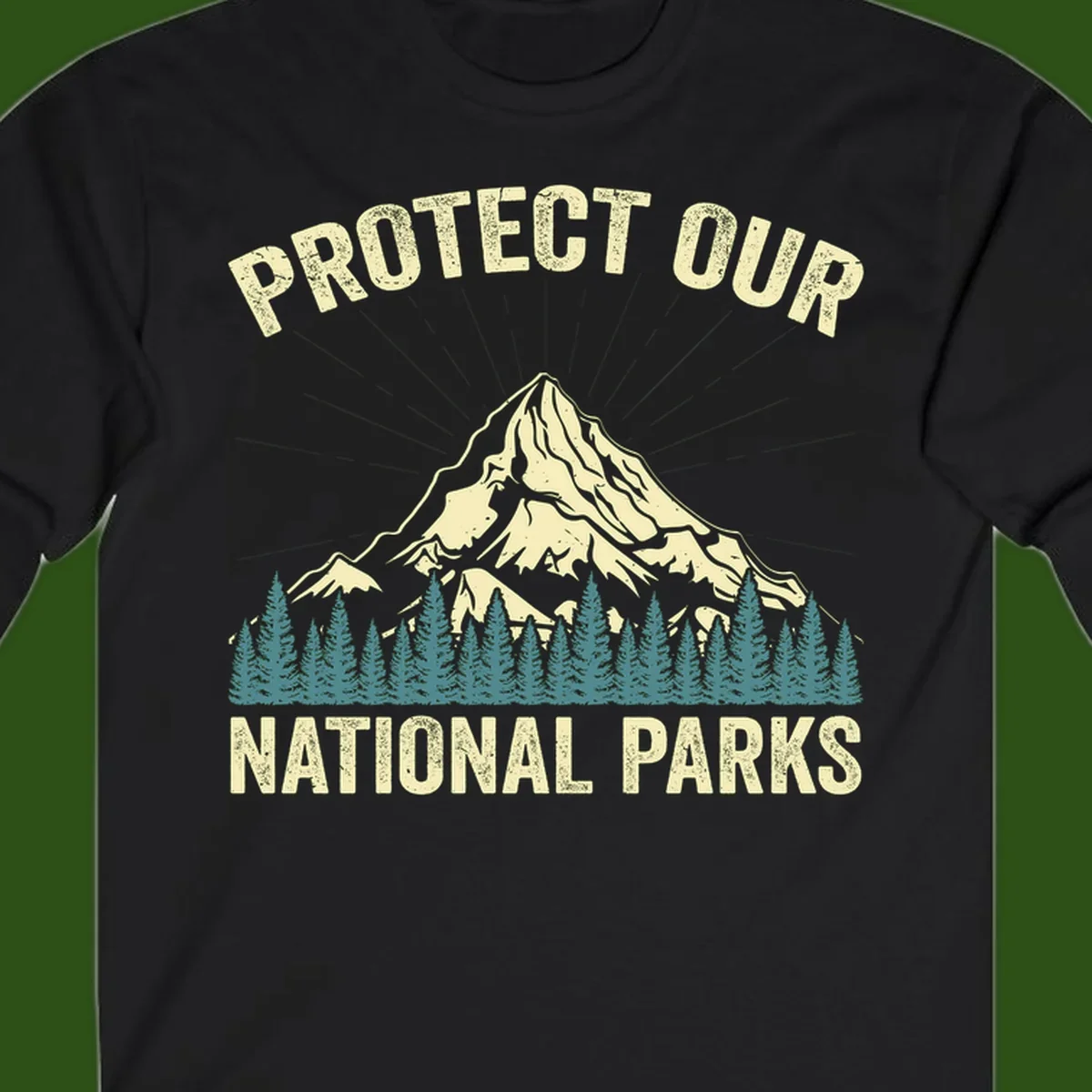 Vintage-style mountain illustration with 'Protect Our National Parks' text, featuring snow peak, forest silhouette, and sun rays