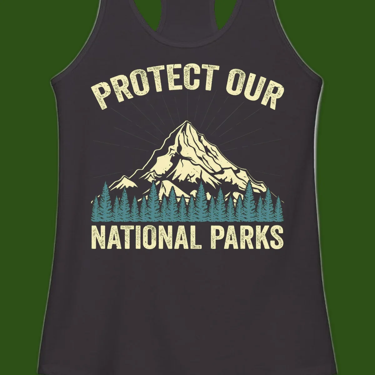 Vintage-style mountain illustration with 'Protect Our National Parks' text, featuring snow peak, forest silhouette, and sun rays