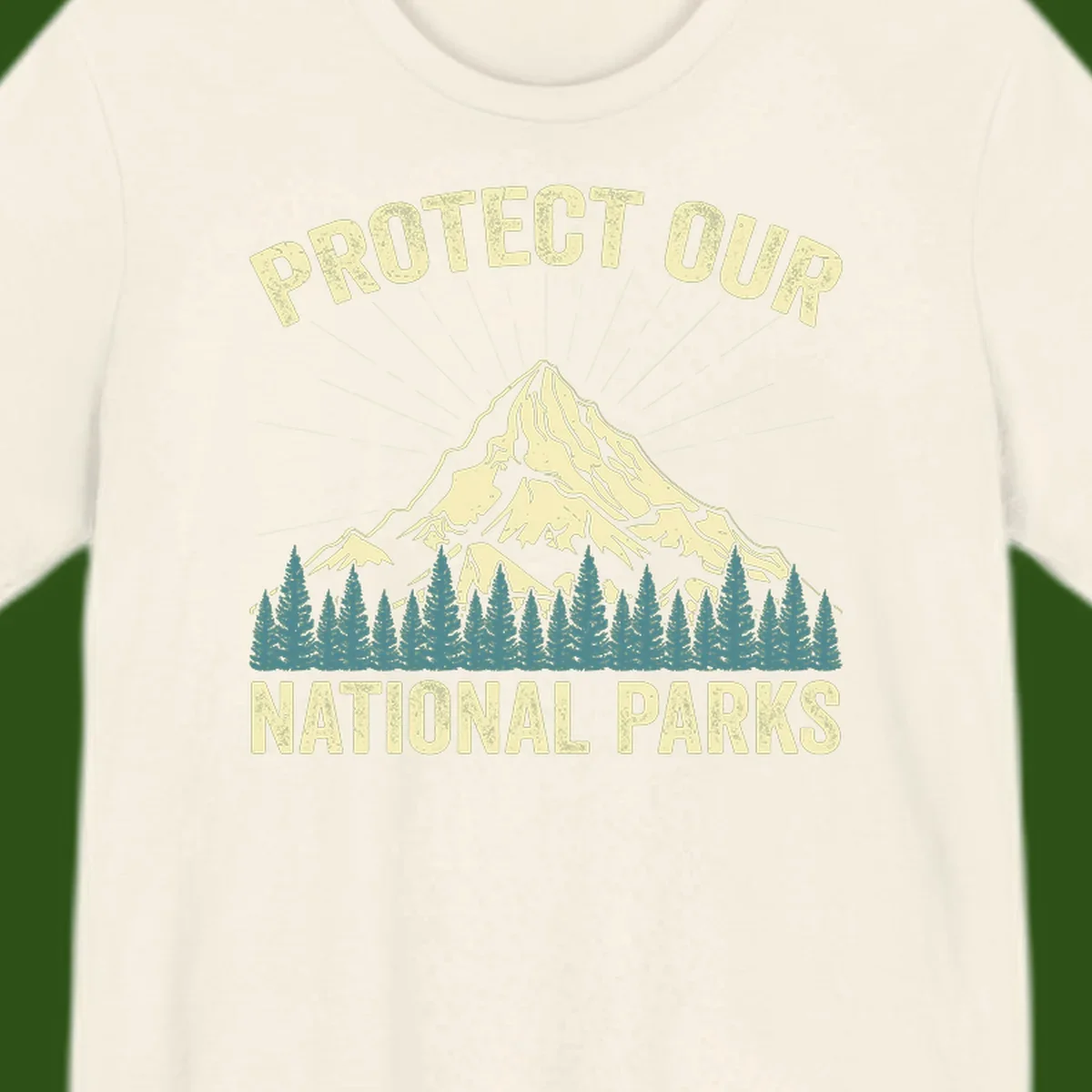 Vintage-style mountain illustration with 'Protect Our National Parks' text, featuring snow peak, forest silhouette, and sun rays