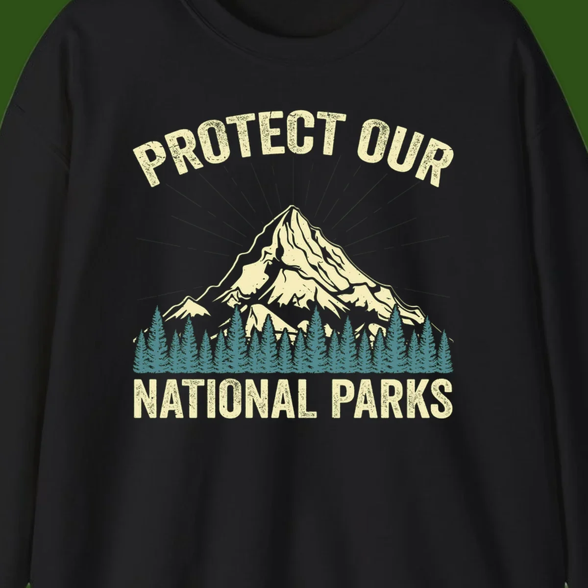 Vintage-style mountain illustration with 'Protect Our National Parks' text, featuring snow peak, forest silhouette, and sun rays