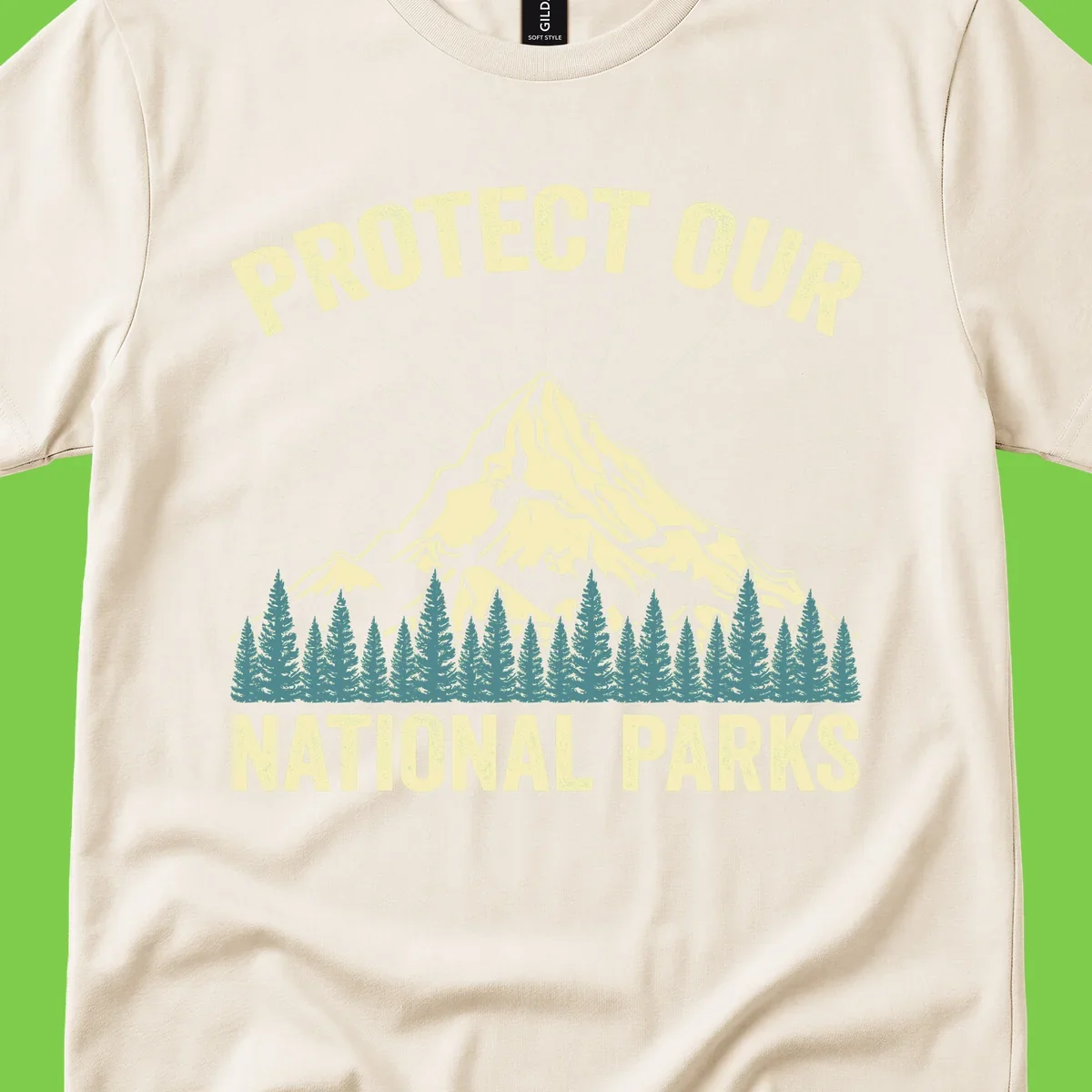 Vintage-style mountain illustration with 'Protect Our National Parks' text, featuring snow peak, forest silhouette, and sun rays
