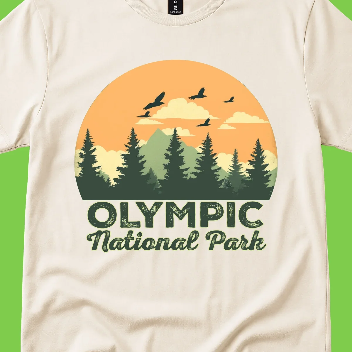 Retro vintage illustration of Olympic National Park with evergreen forest, mountain peak, and sunset sky with flying birds