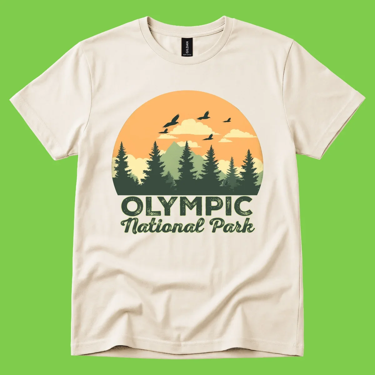 Retro vintage illustration of Olympic National Park with evergreen forest, mountain peak, and sunset sky with flying birds