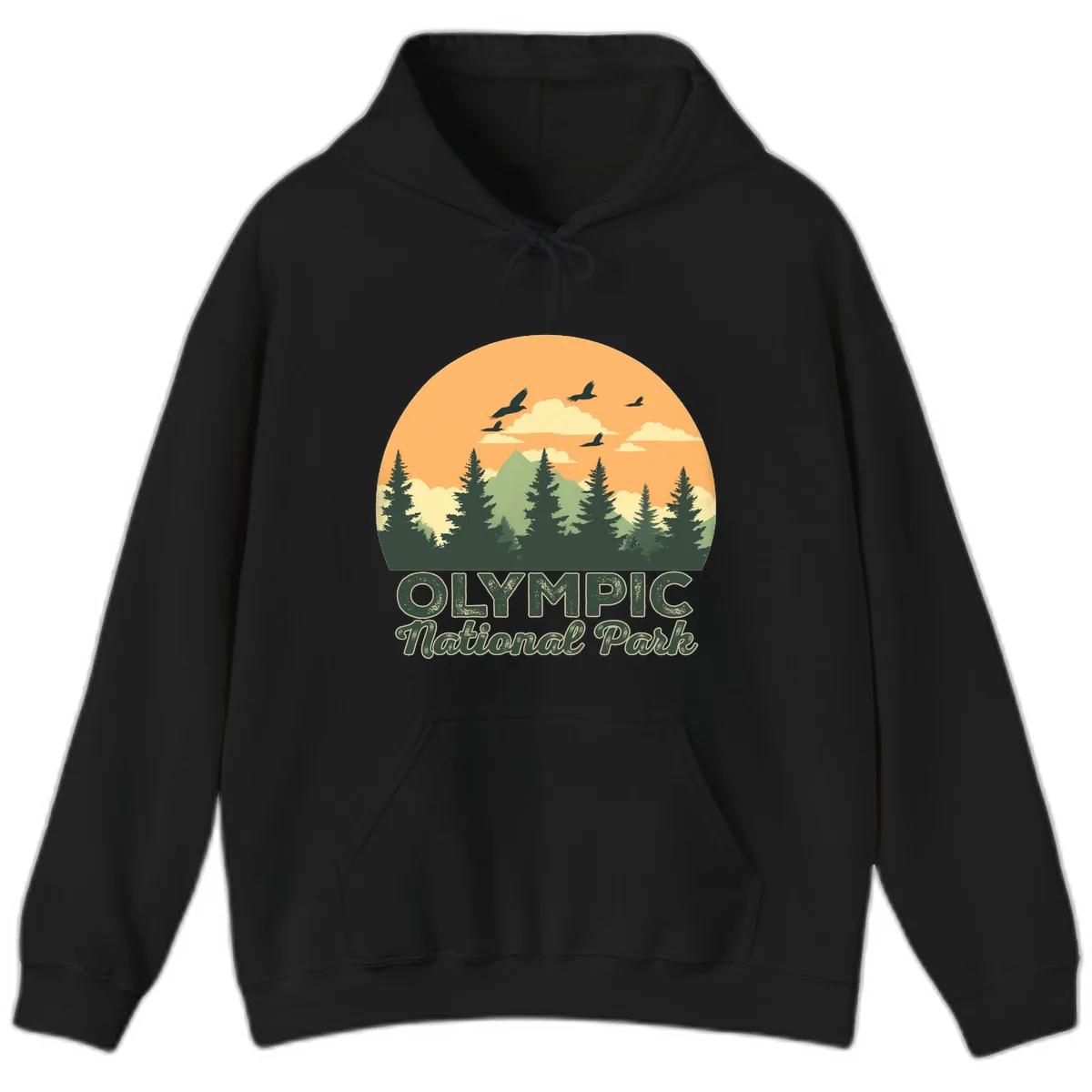 Olympic National Park Mountain Vista Hoodie in Black