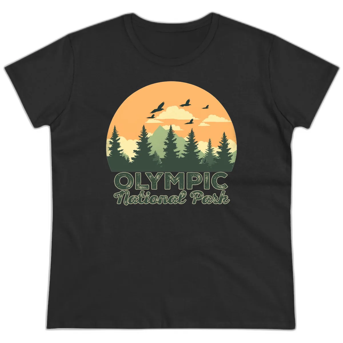 Olympic National Park Mountain Vista Ladies Tee in Black