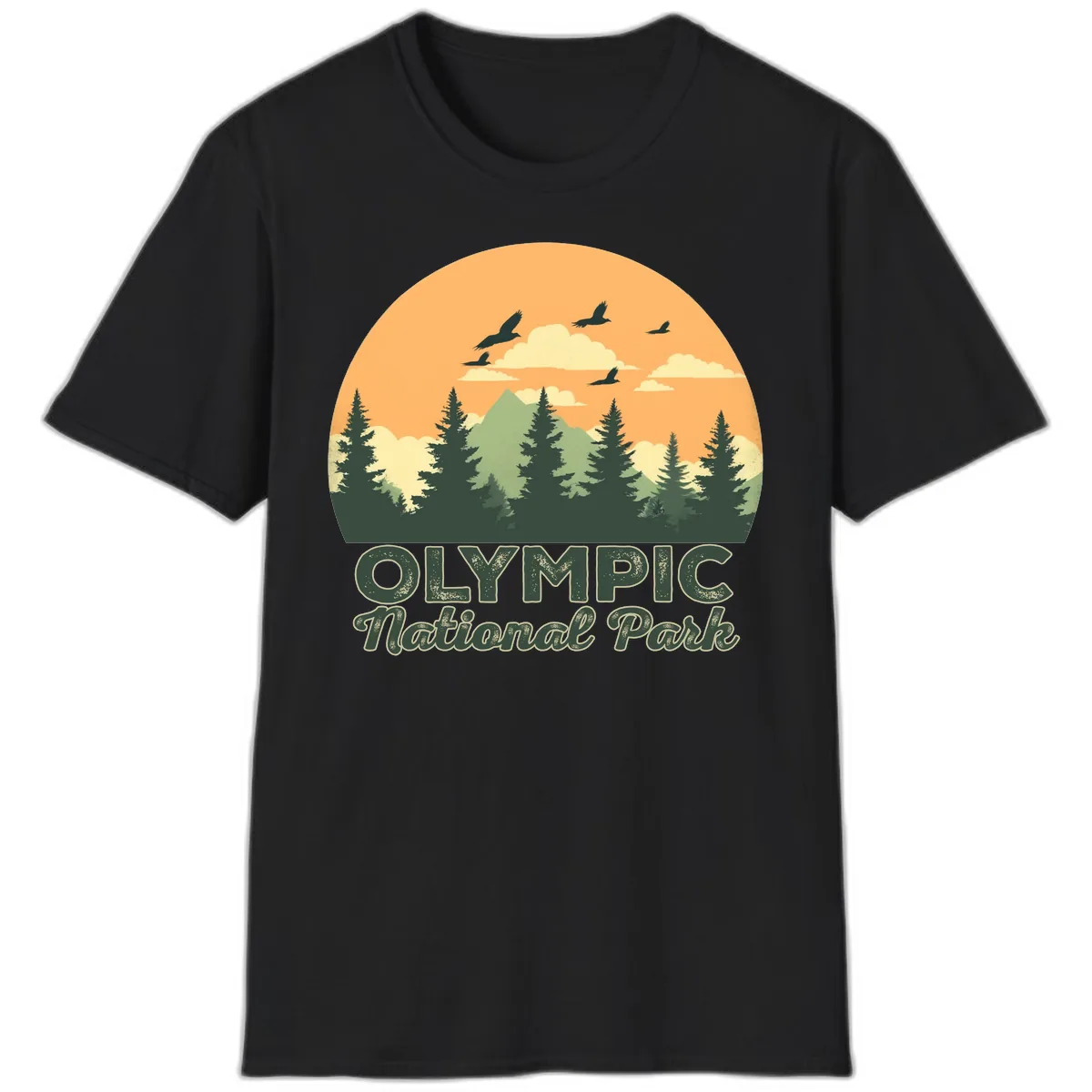 Olympic National Park Mountain Vista T-Shirt in Black