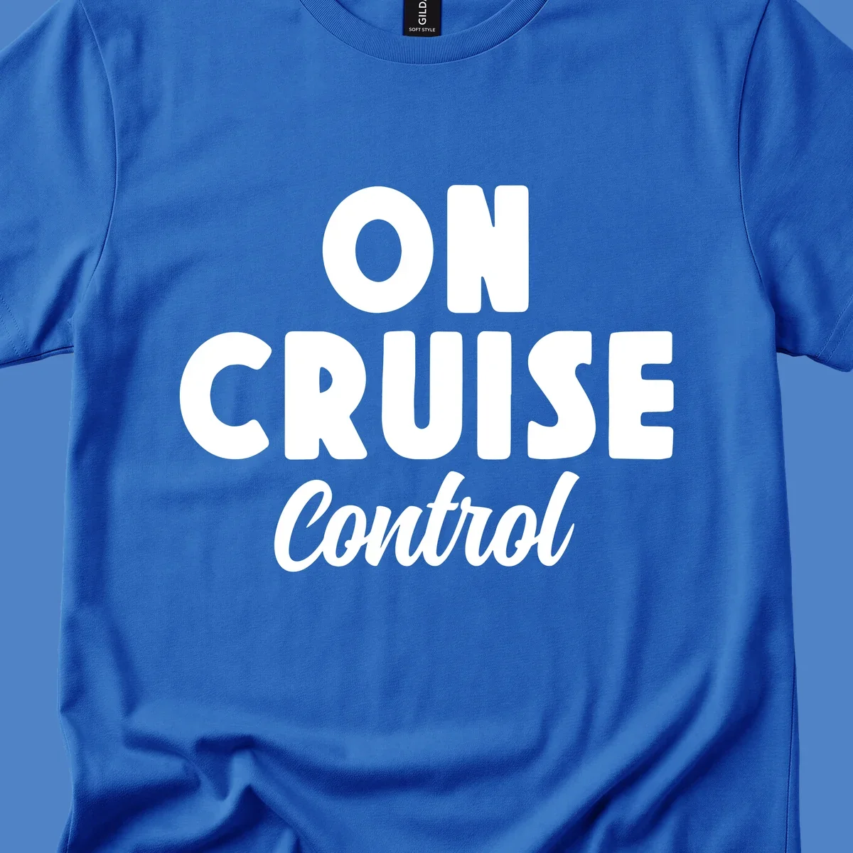 White text reading 'ON CRUISE CONTROL' with 'Control' in italic script on gray background, cruise-themed typography design