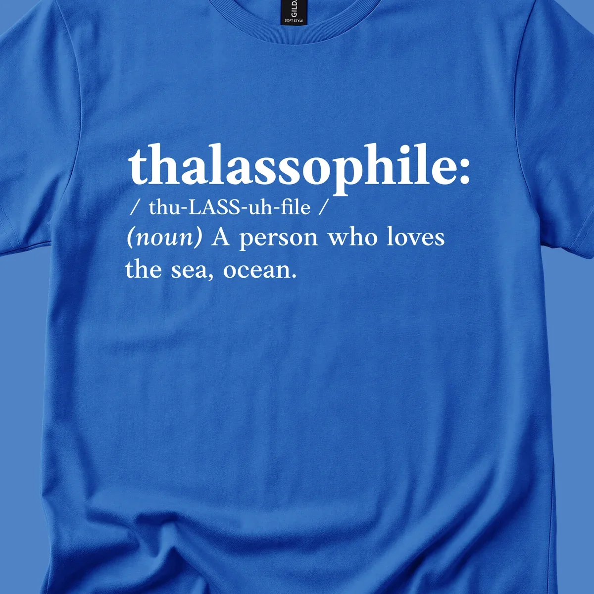 Dictionary-style definition of thalassophile, meaning a person who loves the sea and ocean, in white text on gray background