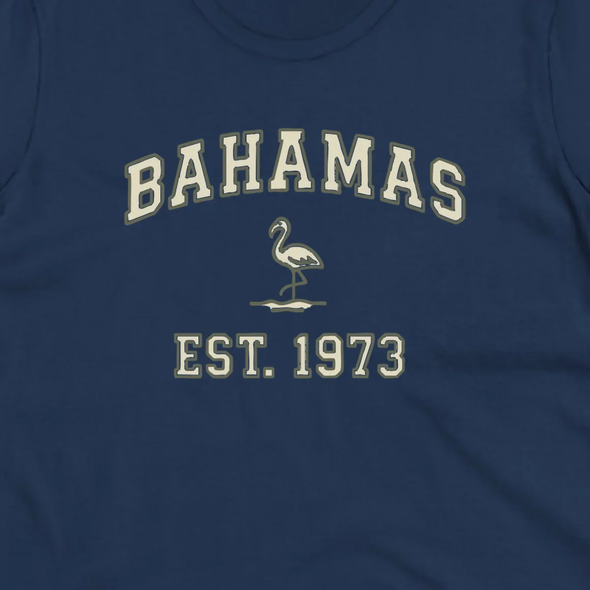 Vintage bahamas flamingo design with cream lettering and olive green outline, established 1973 theme