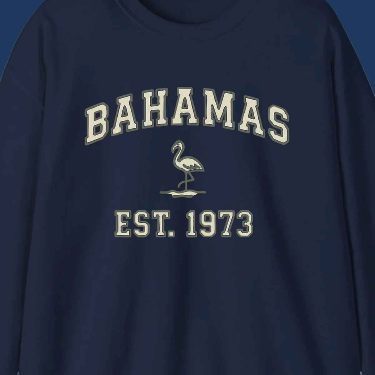 Vintage bahamas flamingo design with cream lettering and olive green outline, established 1973 theme