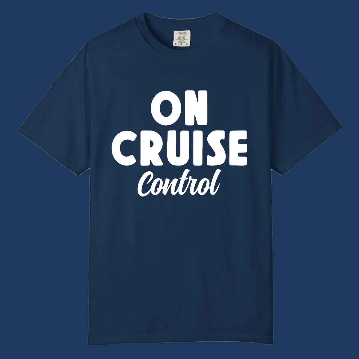 White text reading 'ON CRUISE CONTROL' with 'Control' in italic script on gray background, cruise-themed typography design