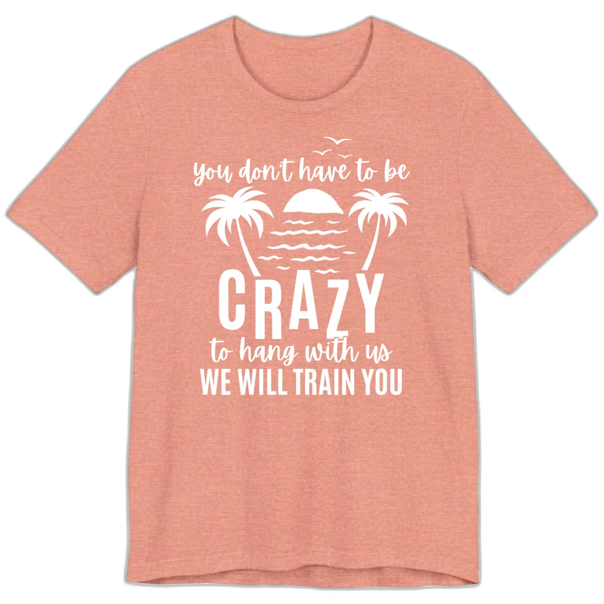 You Don't Have To Be Crazy To Hang With Us Premium T-Shirt in Heather Sunset
