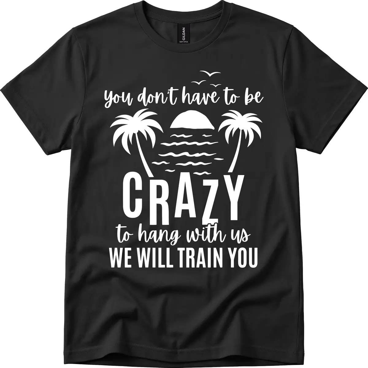 You Don't Have To Be Crazy To Hang With Us T-Shirt in Black