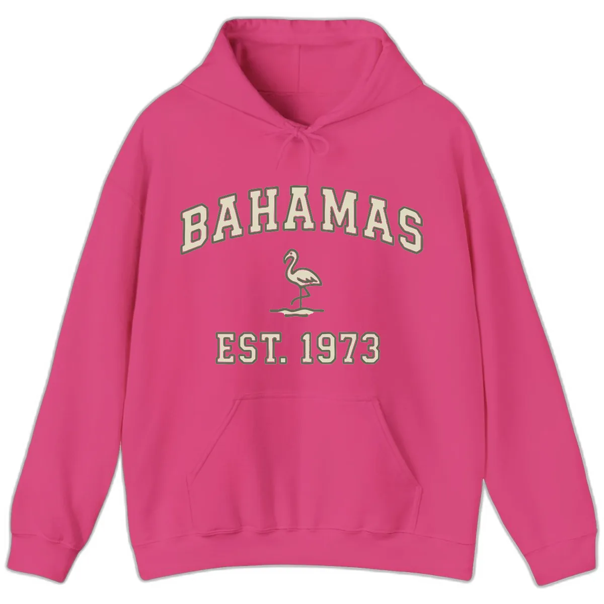 Bahamas Flamingo Established 1973 Hoodie in Heliconia