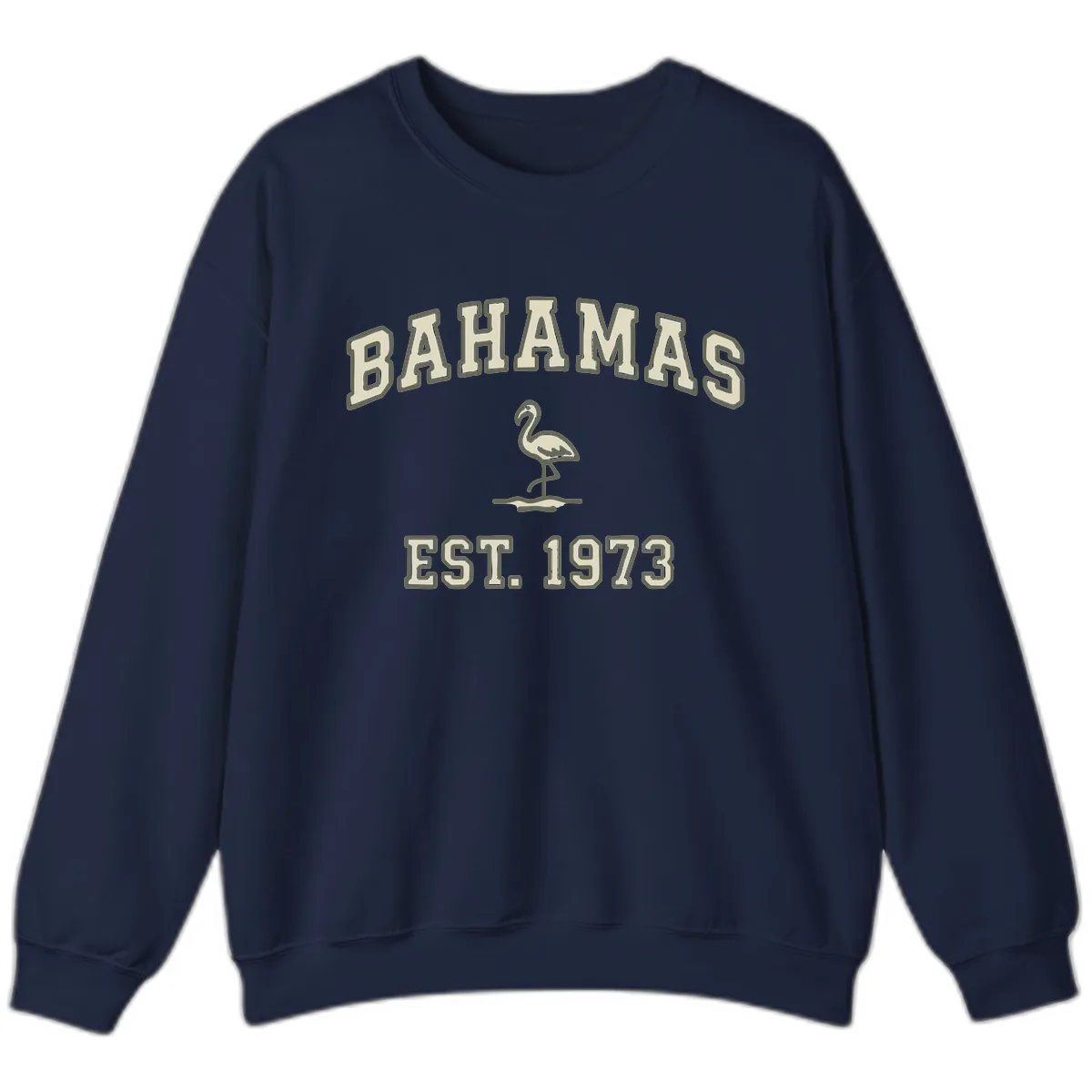 Bahamas Flamingo Established 1973 Sweatshirt in Navy
