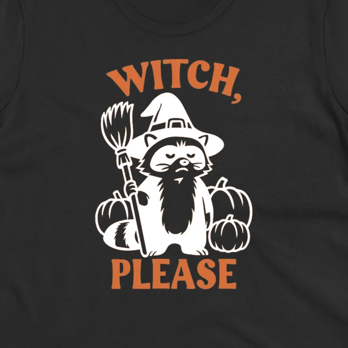 Witch, Please Raccoon Halloween design with a grumpy raccoon witch, broom, and pumpkins.