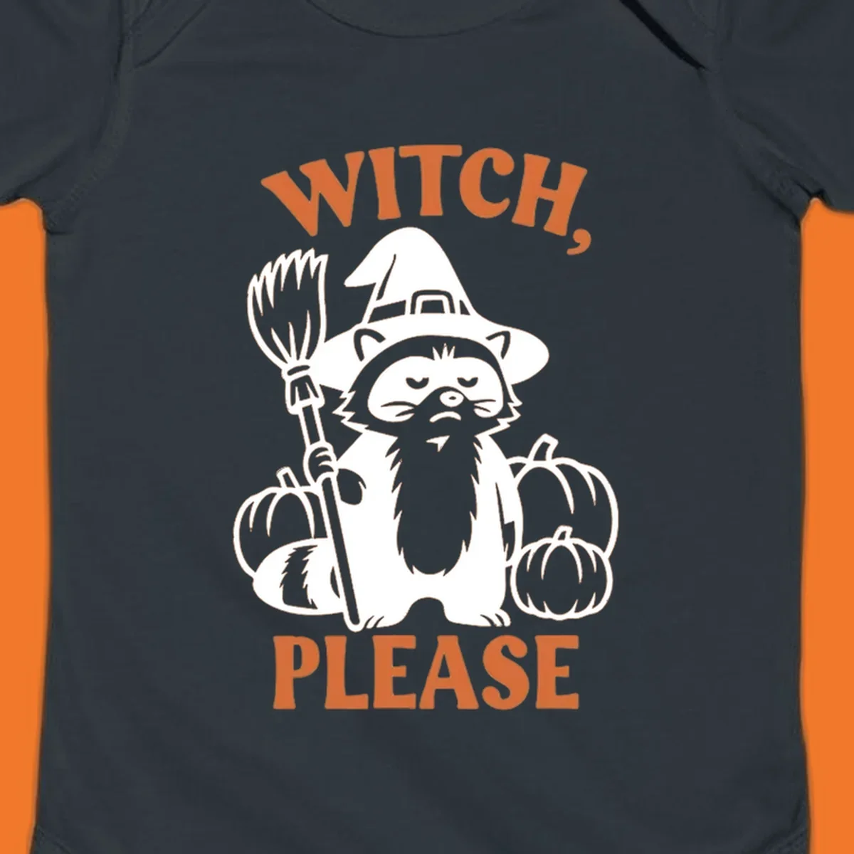 Witch, Please Raccoon Halloween design with a grumpy raccoon witch, broom, and pumpkins.