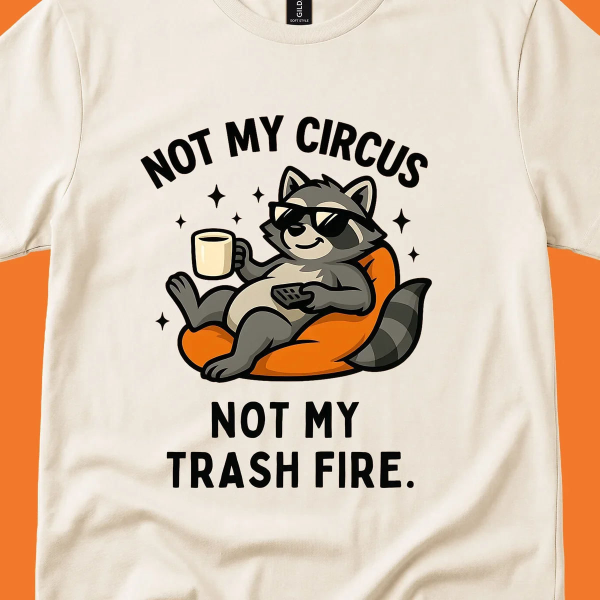 Illustration of a raccoon in sunglasses relaxing with coffee and remote, text 'Not My Circus Not My Trash Fire'.