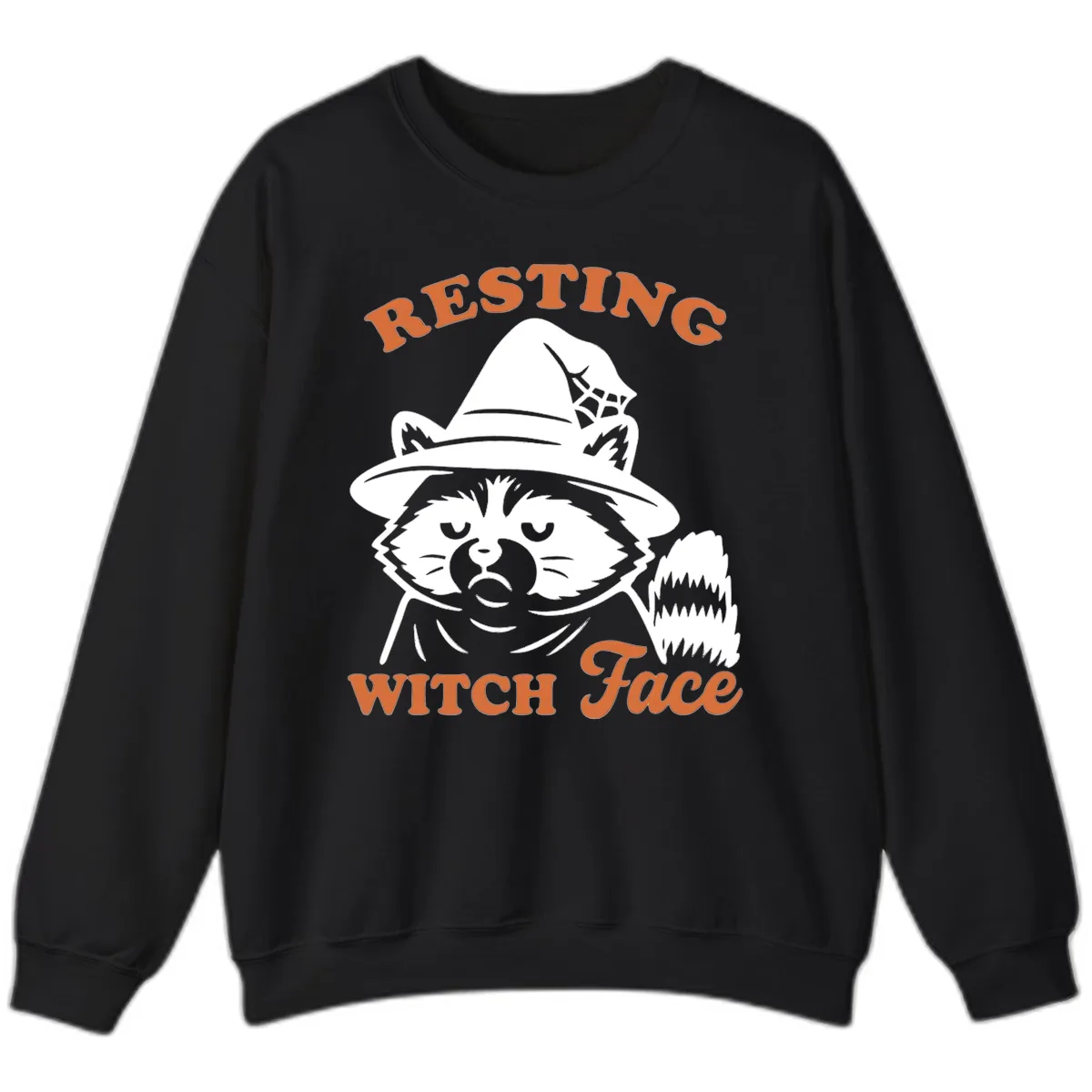 Resting Witch Face Raccoon Design Sweatshirt in Black
