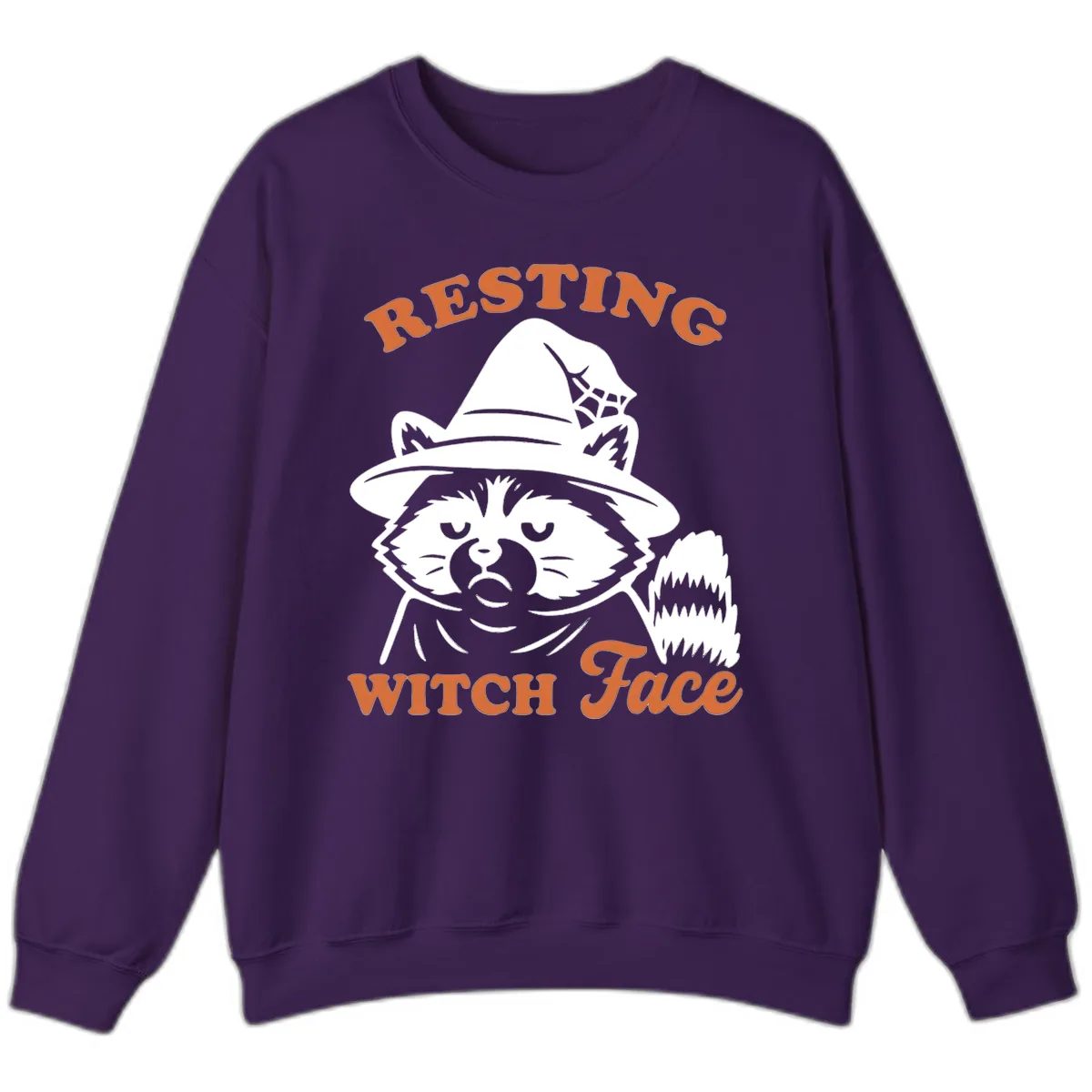 Resting Witch Face Raccoon Design Sweatshirt in Purple